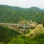 The Entertainment Midst Luscious Foliage of Mount Takao