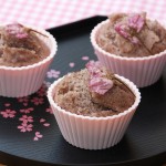 Spring - Seasonal Food of Japan