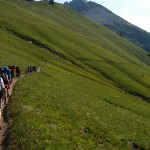 Take a Hike: A Guide to Kansai’s Best Walking Trails