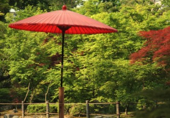 Kyoto Temples and Philosopher’s Walk