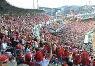 Hiroshima Toyo Carp: See Another Side of Hiroshima!