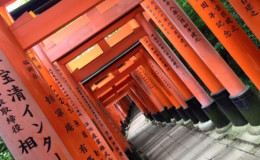 Fushimi Inari Shrine: The 1,000 Gate Shrine