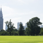 How to Get to Shinjuku Gyoen