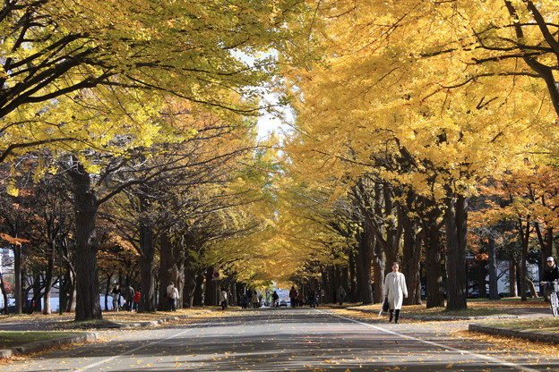 Photo 4_Campus Walk Tours