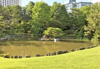 Feed the Ducks and Ride the Boats: A Guide to Nakajima Park