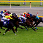 Off to the Races! Horse Racing in Japan