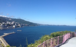 16 Things to Do in Izu