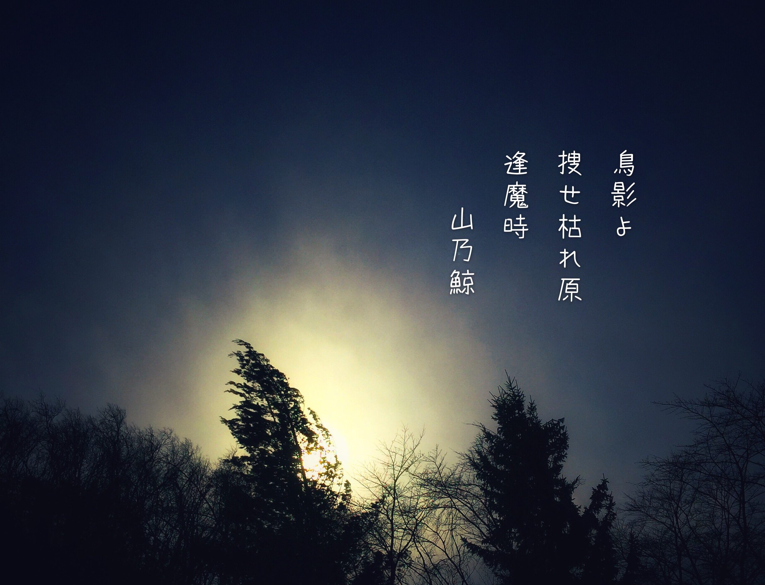 Five Insightful Japanese Proverbs (Kotowaza)