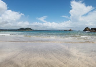 Tanegashima: The Island of History, Nature, & Food 