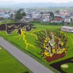 Urban vs. Rural: Which Japan is a Better Fit for You?