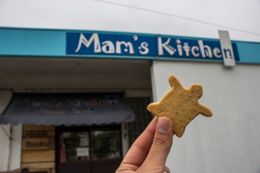 Turtle cookie from Mam's Kitchen