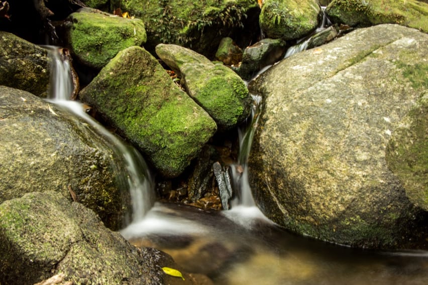 Water falling over moss-covered rocks