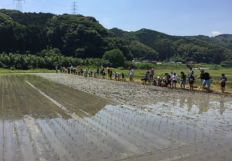 The Seeds of Family Bonds: My Rice Planting Experience in Iizuka, Fukuoka