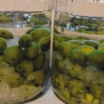 Making Homemade Umeshu (Plum Liquor)