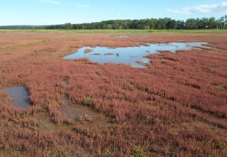 Abashiri, Hokkaido: One Day, Three Lakes, Pink Grass and a Festival