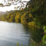 The 12 Best Foliage Viewing Spots in Kanagawa