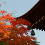 5 Awesome Japanese Autumn Festivals