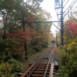 Enjoying Autumn Colours with the Hakone Free Pass