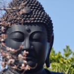 Tokyo's Hidden Daibutsu: the Subtly Exquisite Buddha Statue of Jōren Temple
