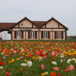 Enjoying Spending Time in Nature: Country Farm Tokyo German Village