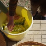 Japanese Pickles Right at Home: How to Make Tsukemono