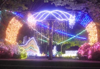 The Summer Lights of Minowa