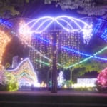 The Summer Lights of Minowa