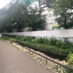 Tokyo Greenways: The Forgotten Paths Amidst a Concrete Jungle