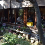 Traditional Tea and Wagashi in the Heart of Tokyo: The Kosoan Tea House