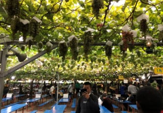 Autumn in Yamanashi Prefecture – A Great Time for Grapes and Mt. Fuji