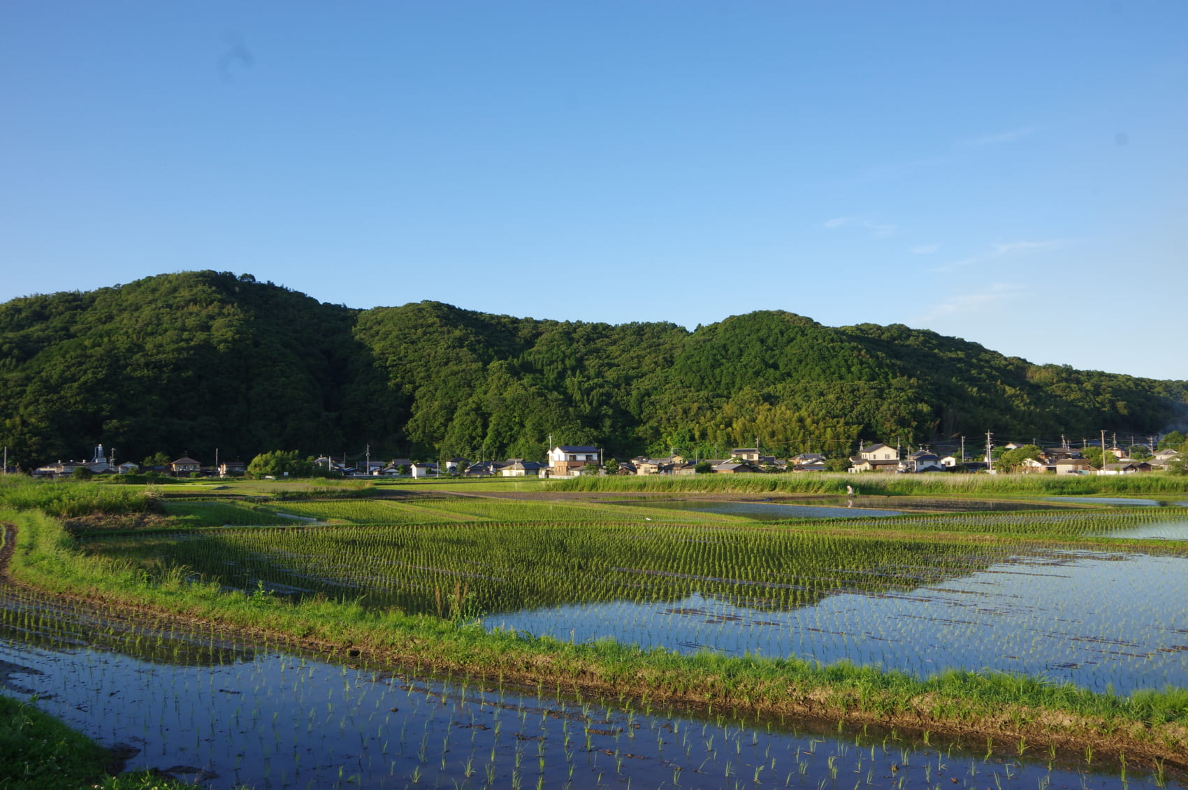 Things to Do in Rural Japan