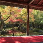 The Splendor of Enkoji, Overlooked Temple of Northern Kyoto