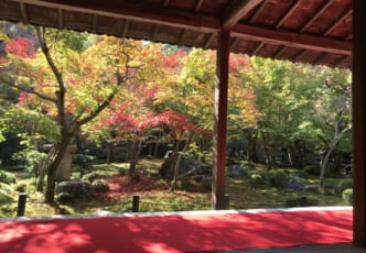 The Splendor of Enkoji, Overlooked Temple of Northern Kyoto