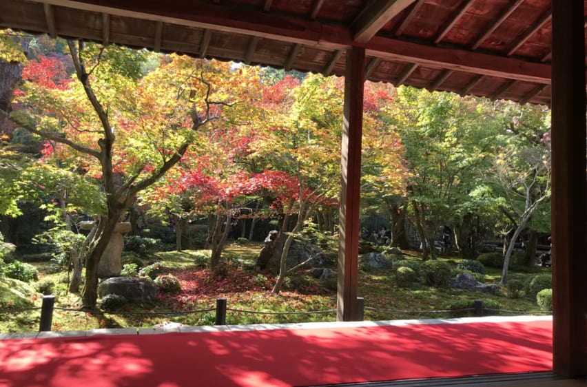 The Splendor of Enkoji, Overlooked Temple of Northern Kyoto