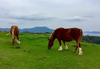 5 Reasons Why the Oki Islands Should Be in Your Japan Bucket List