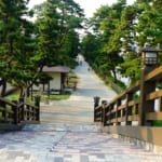 In the Footsteps of Basho – Soka Matsubara Promenade