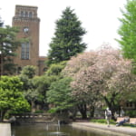 Kunitachi: Adorable College Town and the Inspiration for The Wolf Children