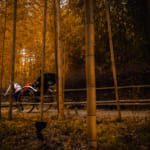 3 Day Itinerary in Osaka and Kyoto – Where To Go and What to Eat