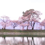 Nagano's Bank of Deities – Timeless Reflections